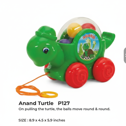 ANAND TURTLE