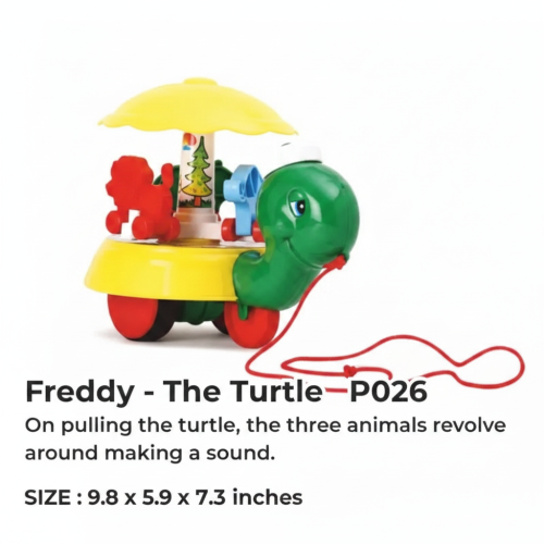 FREEDY THE TURTLE