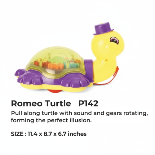 ROMEO TURTLE