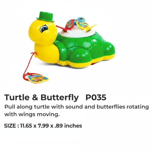 TURTLE BUTTERFLY
